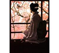 Wee Blue Coo Opera Madame Butterfly Japanese Large Wall Art Poster Print Thick Paper 18X24 Inch