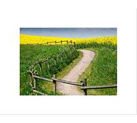 Wee Blue Coo Oregon Oilseed Rape Field Meadow Yellow Green Field Home Wall Art Print
