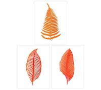 Wee Blue Coo Pack of 3 Elegant Fern Frond Plant Tree Bright Orange Leaf Detailed Foliage Botanical Unframed Wall Art Living Room Prints Set Wee Blue Coo Orange
