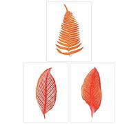 Wee Blue Coo Pack of 3 Elegant Fern Frond Plant Tree Bright Orange Leaf Detailed Foliage Botanical Unframed Wall Art Living Room Prints Set