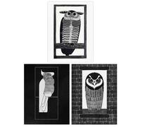 Wee Blue Coo Pack of 3 Julie de Graag Black & White Graphic Linocut Owl & Parrot Vintage Bird Unframed Wall Art Living Room Prints Set Wee Blue Coo Black
