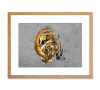 Wee Blue Coo Paint Drawing Animal Big Cat Tiger Stripes Predator Mist Framed Wall Art Print