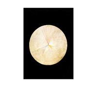 Wee Blue Coo Painting Abstract Circle Hilma Af Klint 1915 No 14 Swan Wall Art Print