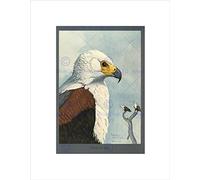 Wee Blue Coo PAINTING ABYSSINIA BIRD MAMMAL FUERTES AFRICAN SEA EAGLE FRAMED PRINT B12X12853