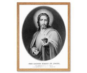Wee Blue Coo Painting Allegory Portrait Message Jesus Sacred Heart Art Print Framed Poster Wall Decor 12X16 Inch