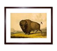 Wee Blue Coo Painting Animal Buffalo Bison Bull Male Praire American Framed Wall Art Print