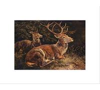 Wee Blue Coo Painting Animal Group Portrait Schleich Red Deer Wall Art Print
