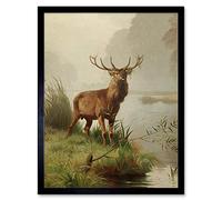 Wee Blue Coo Painting Animal Portrait Red Deer Stag Mackeprang Art Print Framed Poster Wall Decor 12X16 Inch