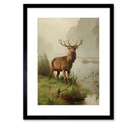 Wee Blue Coo Painting Animal Portrait Red Deer Stag Mackeprang Framed Wall Art Print