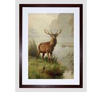 Wee Blue Coo Painting Animal Portrait Red Deer Stag Mackeprang Framed Wall Art Print