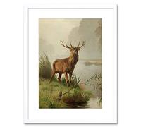 Wee Blue Coo Painting Animal Portrait Red Deer Stag Mackeprang Framed Wall Art Print