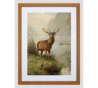 Wee Blue Coo Painting Animal Portrait Red Deer Stag Mackeprang Framed Wall Art Print