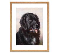 Wee Blue Coo Painting Animal Reichert Newfoundland Dog Hound Framed Wall Art Print