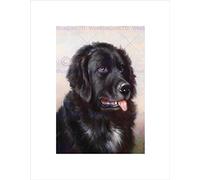 Wee Blue Coo Painting Animal Reichert Newfoundland Dog Hound Wall Art Print