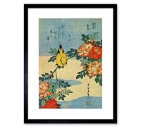 Wee Blue Coo Painting Animals Bird Yellow Finch Flowers Japanese Japan Framed Wall Art Print