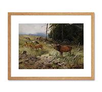 Wee Blue Coo Painting Animals Drathmann Stag Deer Near Forest Framed Wall Art Print