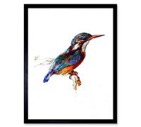 Wee Blue Coo Painting Bird Kingfisher Ruskin Art Print Framed Poster Wall Decor 12X16 Inch