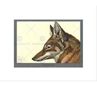Wee Blue Coo PAINTING BOOK ABYSSINIA BIRD MAMMAL FUERTES WOLF FRAMED ART PRINT B12X12865