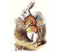 Wee Blue Coo PAINTING BOOK CARROL ALICE WONDERLAND TENNIEL WHITE RABBIT ART PRINT HP461