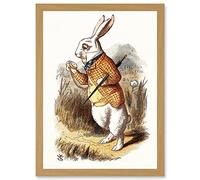 Wee Blue Coo Painting Carrol Alice Wonderland Tenniel White Rabbit Artwork Framed Wall Art Print A4
