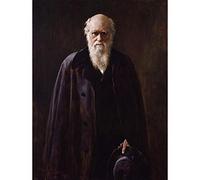 Wee Blue Coo Painting Collier Portrait Scientist Charles Darwin Art Print Poster Wall Decor 12X16 Inch