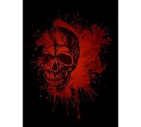 Wee Blue Coo Painting Drawing Paint Splash Red Creepy Skull Art Print Poster Wall Decor 12X16 Inch