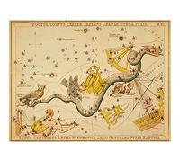 Wee Blue Coo Painting Drawing Star Map Crow Owl Snake Constellation Art Print Poster Wall Decor 12X16 Inch