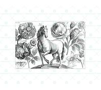 Wee Blue Coo Painting Engraving Hollar Horse Various Flowers Roses Wall Art Print