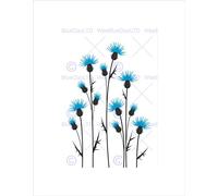 Wee Blue Coo PAINTING ILLUSTRATION ABSTRACT THISTLE FLOWER GRAPHIC FRAMED ART PRINT B12X13474