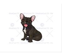Wee Blue Coo PAINTING ILLUSTRATION CARTOON FRENCH BULLDOG DOG FRAMED ART PRINT B12X12905