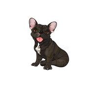 Wee Blue Coo Painting Illustration Cartoon French Bulldog Dog Wall Art Print