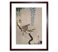 Wee Blue Coo Painting Japan Nature Sparrow Bird Flower Shoson Ohara Framed Wall Art Print