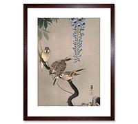 Wee Blue Coo Painting Japan Nature Sparrow Bird Flower Shoson Ohara Framed Wall Art Print