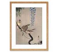 Wee Blue Coo Painting Japan Nature Sparrow Bird Flower Shoson Ohara Framed Wall Art Print