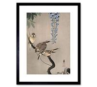 Wee Blue Coo Painting Japan Nature Sparrow Bird Flower Shoson Ohara Framed Wall Art Print