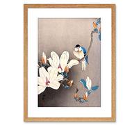 Wee Blue Coo Painting Japan Ohara Koson Bird Flower Framed Wall Art Print