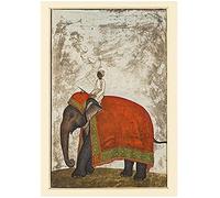 Wee Blue Coo Painting Khan Mughal Emperor's Ceremonial Elephant Wall Art Print