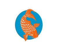 Wee Blue Coo Painting Koi Carp Gold Fish Japanese Scales Tail Fin Wall Art Print