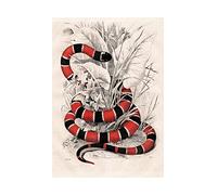 Wee Blue Coo Painting Nature Animal Reptile Coral Snake Wall Art Print