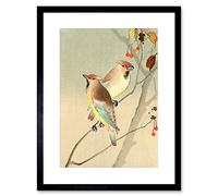 Wee Blue Coo Painting Nature Bird Autumn Japan Ohara Koson Framed Wall Art Print