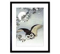 Wee Blue Coo PAINTING NATURE BIRD OWL JAPAN OHARA KOSON FRAMED PRINT F97X4201
