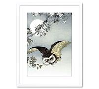 Wee Blue Coo PAINTING NATURE BIRD OWL JAPAN OHARA KOSON FRAMED PRINT F97X4201