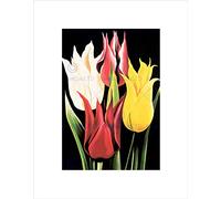 Wee Blue Coo PAINTING NESBITT FOUR TULIPS FLOWER FLORAL BLACK FRAMED ART PRINT B12X7421