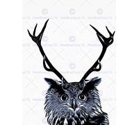 Wee Blue Coo Painting Photo Owl Deer Antlers Weird Bizarre Fun Wall Art Print