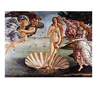Wee Blue Coo Painting Portrait Mythology Roman Botticelli Birth Venus Large Art Print Poster Wall Decor 18x24 inch