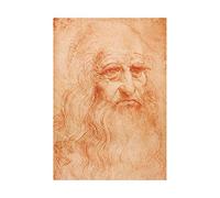 Wee Blue Coo Painting Portrait Study Da Vinci Man Red Chalk Wall Art Print