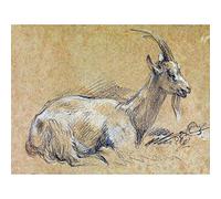 Wee Blue Coo Painting Sketch Animal Portrait Gainsborough Goat Art Print Poster Wall Decor 12X16 Inch