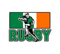 Wee Blue Coo Painting Sport Ireland Rugby Football Flag Irish Player Wall Art Print