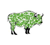 Wee Blue Coo Painting Summer Leaves Buffalo Green Black Outline Cool Wall Art Print