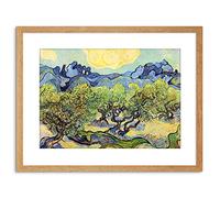 Wee Blue Coo Painting Van Gogh Landscape Olive Trees Framed Wall Art Print